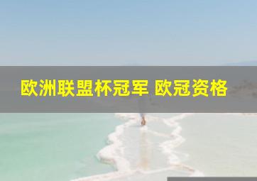 欧洲联盟杯冠军 欧冠资格